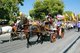 Thailand: Horse drawn carriages, Chiang Mai Flower Festival Parade, Chiang Mai, northern Thailand