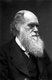 England / UK: Charles Darwin (1809-1882), English naturalist, geologist and author of 'On the Origin of the Species' (1859), Elliot and Fry, 1874