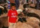 China: A young Uighur boy minds his fat-tailed sheep at the Livestock Market, Kashgar, Xinjiang Province