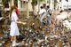 Thailand: A nurse feeding pigeons during her lunch break next to the Chao Phraya River in Thonburi, Bangkok