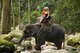 Thailand: Elephant trekking near the falls, Na Muang Waterfall 1, Ko Samui