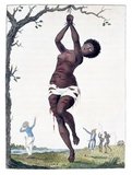 The engraving shows a woman hanging from a tree with deep lacerations; in background two white men and two black men, the latter with whips. Stedman witnessed this punishment in 1774.<br/><br/>

The woman being whipped was an eighteen-year old girl who was given 200 lashes for having refused to have intercourse with an overseer. She was 'lacerated in such a shocking manner by the whips of two negro-drivers, that she was from her neck to her ancles literally dyed with blood'.