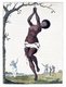 Suriname: 'Flagellation of a Female Samboc Slave', from John Gabriel Stedman, 'Narrative of a Five Years’ Expedition, against the revolted Negroes of Surinam . . . from the year 1772, to 1777', London, 1796