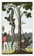 Suriname: 'Skinning the Aboma Snake Shot by Captain Stedman', from John Gabriel Stedman, 'Narrative of a Five Years Expedition, against the Revolted Negroes of Surinam', London, 1796