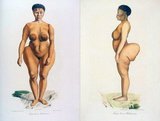 Saartjie 'Sarah' Baartman (before 1790 – 29 December 1815) was the most famous of at least two Khoikhoi women who, due to their large buttocks (steatopygia), were exhibited as freak show attractions in 19th-century Europe under the name Hottentot Venus. 'Hottentot' was the then current name for the Khoi people, but is now considered an offensive term.