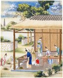 According to oral tradition, tea has been grown in China for more than four millennia. The earliest written accounts of tea making, however, date from around 350 CE, when it first became a drink at the imperial court.<br/><br/>

Around 800 CE tea seeds were taken to Japan, where regular cultivation was soon established. Just over five centuries later, in 1517, tea was first shipped to Europe by the Portuguese soon after they began their trade with China. In 1667 the Honourable East India Company ordered the first British shipment of tea from China, requesting of their agents ‘one hundred pounds weight of the best tey that you can get’.<br/><br/>

In 1826 the Dutch bought seeds from Japan for cultivation in their growing East Indian Empire, supplementing this effort in 1833 by imports of seeds, workers and implements from China. Meanwhile, also in the 1830s, the East India Company began growing tea on an experimental basis in Assam – the first one hundred boxes of Assamese tea reached Britain in 1840, and found a ready market.<br/><br/>

About the same time, tea seedlings were transplanted from Assam to Sri Lanka and planted in the highlands around Kandy. By the beginning of the present century tea was very much in fashion, with plantations established as far afield as Vietnam in Southeast Asia, Georgia in Europe, Natal, Malawi, Uganda, Kenya, Tanzania and Mozambique in Africa, Argentina, Brazil and Peru in South America, and Queensland in Australia. Despite this proliferation, however, Sri Lanka remains the largest producer of tea in the world today, with the fragrant black leaf the mainstay of its economy.