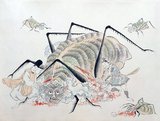 Tsuchigumo are monstrous creatures with the body of a tiger, limbs of a spider, and the face of a demon. They capture, bind and eat unwary travelers. When Minamoto no Yorimitsu killed a Tsuchigumo, 1,990 human skulls fell out of its belly.<br/><br/>

The Tsuchigumo no Zoshi Emaki (Narrative picture scroll of the story of the earth spider) is a picture scroll depicting a story of a battle between Tsuchigumo and Minamoto no Yorimitsu, a general in the mid-Heian period. The story is well known as an episode in Taiheiki (a warrior tale) and the Noh song 'Tsuchigumo'.