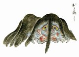 Hyakki Yagyo, variation: hyakki yako, (lit. 'Night Parade of One Hundred Demons') is a concept in Japanese folklore. It is a parade which is composed of a hundred kinds of <i>yokai</i> (supernatural monsters).<br/><br/>

Legend has it that every year the yokai Nurarihyon, will lead all of the yokai through the streets of Japan during summer nights. Anyone who comes across the procession will perish or be spirited away by the yokai, unless protected by handwritten scrolls by anti-yokai onmyoji spellcasters.<br/><br/>

According to the account in the Shugaisho, a medieval Japanese encyclopedia, the only way to be kept safe from the night parade if it comes by your house is to stay inside on the specific nights associated with the Chinese zodiac or to chant a magic spell.