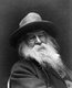 USA: Walter 'Walt' Whitman, American poet, essayist and journalist (1819-1892), New York, George C Cox, 1887