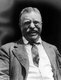 Theodore Roosevelt (October 27, 1858 – January 6, 1919), often referred to by his initials TR, was an American statesman, author, explorer, soldier, naturalist, and reformer who served as the 26th President of the United States. A leader of the Republican Party, he was a leading force of the Progressive Era.<br/><br/>

He served as Assistant Secretary of the Navy under William McKinley, resigning after one year to serve with the First US Voluntary Cavalry Regiment or 'Rough Riders', gaining national fame for courage during the War in Cuba.<br/><br/>

During World War I, he opposed President Wilson for keeping the US out of the war against Germany, and offered his military services, which were never summoned. Although he planned to run again for president in 1920, his health quickly deteriorated, and he died in early 1919. Roosevelt has consistently been ranked by scholars as one of the greatest US Presidents. His face adorns Mount Rushmore alongside Washington, Jefferson, and Lincoln.