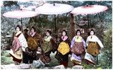 Prostitution in Japan has existed throughout the country's history. The opening of Japan and the subsequent flood of Western influences into Japan brought about a series of changes in the Meiji period. Japanese novelists started to draw attention to the confinement and squalid existence of the lower-class prostitutes in the red-light districts.<br/><br/>

'Shashin Mitate Cho' (essentially, prostitute menus or catalogues) were introduced soon after photography became popular in the late 19th century, at least in more upmarket brothels, as an alternative to the 'caged prostitute' displays of lower class brothels where women were displayed for the consideration of customers.