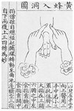 Massage in Chinese Traditional Medicine is known as An Mo (pressing and rubbing) or Qigong Massage, and is the foundation of Japan's Anma massage. Categories include Pu Tong An Mo (general massage), Tui Na An Mo (pushing and grasping massage), Dian Xue An Mo (cavity pressing massage), and Qi An Mo (energy massage).<br/><br/>

Tui na focuses on pushing, stretching, and kneading muscles, and Zhi Ya focuses on pinching and pressing at acupressure points. Technique such as friction and vibration are used as well.