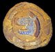 Afghanistan: Painted medallion of a boar's head, Grotto D, Bamiyan Cliff, Bamiyan Valley, 6th-7th centuries CE