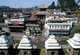 Nepal: Pashupatinath Temple, Kathmandu