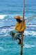 Sri Lanka: Stilt fisherman, Weligama