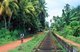 Sri Lanka: A man cycles next to the Colombo to Matara railway line near Hikkaduwa