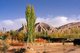 China: An oasis in the foothills of the Kunlun Shan (Kunlun Mountains) near Karghilik (Karghalik or Kargilik), Xinjiang Province