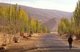 China: An oasis in the foothills of the Kunlun Shan (Kunlun Mountains) near Karghilik (Karghalik or Kargilik), Xinjiang Province