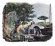 Japan / Ryukyu Islands: 'Merchant's Place at Toumhai', (Tomari, Okinawa), Guerin Expedition, 1855