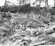 Japan / USA: US marines amid the debris of war and Japanese bodies. Battle of Okinawa, May 1945