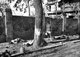 Philippines: A Filipino civilian looks at the bodies of people killed in the Ermita district during the Battle of Manila, March 1945