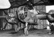 USA / Australia: B-25 medium bomber gunship 'Margaret' of the 90th Squadron, 3rd Bomb Group in a hangar at Garbutt airfield, Queensland, c. 1942