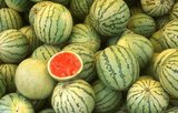 Watermelon (<i>Citrullus lanatus</i> (Thunb.), family Cucurbitaceae) is thought to have originated in southern Africa, where it is found growing wild. It reaches maximum genetic diversity there, with sweet, bland and bitter forms.<br/><br/>

Evidence of its cultivation in the Nile Valley was found from the second millennium BCE. Watermelon seeds have been found at Twelfth Dynasty sites and in the tomb of Pharaoh Tutankhamun. Watermelon is also mentioned in the Bible as a food eaten by the ancient Israelites while they were in bondage in Egypt.<br/><br/>

By the 10th century, watermelons were being cultivated in China, which is today the world's single largest watermelon producer. By the 13th century, Moorish invaders had introduced the fruit to Europe.