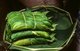 Cambodia: Betel leaves (used for making a betel quid or paan, a mild stimulant) in a Phnom Penh market