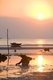 Thailand: Shellfish pickers scour Ang Thong Beach at sunset, north of Na Thon, Ko Samui