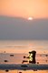 Thailand: Shellfish pickers scour Ang Thong Beach at sunset, north of Na Thon, Ko Samui