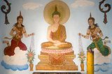 Wat Khao Tam, located just northwest of Ban Tai on Ko Phangan’s southern coast, draws numbers of foreign visitors, both Western and East Asian, who wish to take a ten-day meditation retreat.<br/><br/>

Ko Phangan is 15 km (9.5 miles) north of Ko Samui, and, at 168 sq km (65 sq miles) about two-thirds of its size. The island has the same tropical combination of white, sandy beaches, accessible coral reefs and rugged, jungled interior.<br/><br/>

Once the haunt of budget travelers escaping from more expensive Ko Samui, it is today slowly moving more upmarket. Still, the island remains much less developed for international tourism than Ko Samui, due in part to its isolation and in part to its poor infrastructural system. The roads, in particular, remain poor, with many places along the coast only accessible by sea or by pickup truck or motorbike along badly maintained trails.