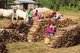 Burma / Myanmar: Pa-O women selling fire wood at the Thaung Tho Market at the southwestern end of Inle Lake, Shan State