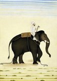 A mahout is an elephant rider, trainer, or keeper. Usually, a mahout starts as a boy in the family profession when he is assigned an elephant early in its life. Mahout and elephant remain bonded to each other throughout their lives.