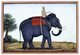 India: A Mahout riding an elephant. <i>Tashrih al-aqvam</i>, Hansi: James Skinner, 1825