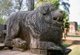 Sri Lanka: A stone guardian lion at the public Audience Hall used by King Parakramabahu the Great (1123 - 1186), Royal Palace Group, Polonnaruwa