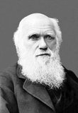 Charles Robert Darwin, FRS (12 February 1809 – 19 April 1882) was an English naturalist and geologist, best known for his contributions to evolutionary theory. He established that all species of life have descended over time from common ancestors, and in a joint publication with Alfred Russel Wallace introduced his scientific theory that this branching pattern of evolution resulted from a process that he called natural selection, in which the struggle for existence has a similar effect to the artificial selection involved in selective breeding.<br/><br/>

Darwin published his theory of evolution with compelling evidence in his 1859 book 'On the Origin of Species', overcoming scientific rejection of earlier concepts of transmutation of species. By the 1870s the scientific community and much of the general public had accepted evolution as a fact. However, many favoured competing explanations and it was not until the emergence of the modern evolutionary synthesis from the 1930s to the 1950s that a broad consensus developed in which natural selection was the basic mechanism of evolution. In modified form, Darwin's scientific discovery is the unifying theory of the life sciences, explaining the diversity of life.