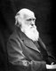 England / UK: Charles Darwin (1809-1882), English naturalist, geologist and author of 'On the Origin of the Species' (1859), Leonard Darwin, 1874