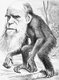 England / UK: 'A Venerable Orang-outang', a caricature of Charles Darwin as an ape published in The Hornet, a satirical magazine, 22 March 1871
