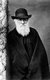 England / UK: Charles Darwin (1809-1882), English naturalist, geologist and author of 'On the Origin of the Species' (1859), Elliot and Fry, 1881