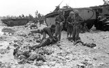 The Battle of Peleliu was fought between the United States and the Empire of Japan in the Pacific Theater of World War II, from September to November 1944 on the island of Peleliu (in present-day Palau). U.S. Marines of the First Marine Division, and later soldiers of the U.S. Army's 81st Infantry Division, fought to capture an airstrip on the small coral island.<br/><br/>

This battle was part of a larger offensive campaign known as Operation Forager, which ran from June to November 1944 in the Pacific Theater of Operations.