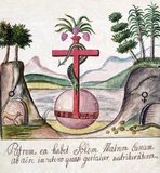 <i>Clavis Artis</i> is the title of an alchemical manuscript published in Germany in three volumes in the late 17th or early 18th century, attributed to Zoroaster (Zarathustra). It features numerous watercolor illustrations depicting alchemical images, as well as pen drawings of laboratory instruments.<br/><br/>

Three copies of the manuscript are known to exist, one at the Biblioteca dell’Accademia Nazionale dei Lincei in Rome, one at the Biblioteca Civica Attilio Hortis in Trieste, and one at the Bayerische Staatsbibliothek in Munich. There is no information about the author and the origin of the manuscript, but there are references to a Rosicrucian order (Orden der Gold- und Rosenkreutzer).