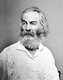 Walter 'Walt' Whitman (May 31, 1819 – March 26, 1892) was an American poet, essayist and journalist. A humanist, he was a part of the transition between transcendentalism and realism, incorporating both views in his works.<br/><br/>

Whitman is among the most influential poets in the American canon, often called the father of free verse. His work was very controversial in its time, particularly his poetry collection 'Leaves of Grass', which was considered obscene by some for its overt sexuality.