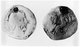 Maldives: Roman denarius of Caius Vibius Pansa minted in Rome in 90 BCE and found within the Thoddu stupa in 1959