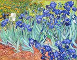Irises is one of many paintings and prints of irises by the Dutch artist Vincent van Gogh. Irises was painted while Vincent van Gogh was living at the asylum at Saint Paul-de-Mausole in Saint-Rémy-de-Provence, France, in the last year before his death in 1890.<br/><br/>

The painting was influenced by Japanese ukiyo-e woodblock prints like many of his works and those by other artists of the time. The similarities occur with strong outlines, unusual angles, including close-up views, and also flattish local colour (not modelled according to the fall of light).