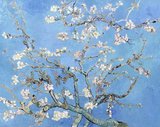 Almond Blossoms is from a group of several paintings made in 1888 and 1890 by Vincent van Gogh in Arles and Saint-Rémy, southern France of blossoming almond trees. Flowering trees were special to Van Gogh. They represented awakening and hope. He enjoyed them aesthetically and found joy in painting flowering trees.<br/><br/>

The works reflect Impressionist, Divisionist and Japanese woodcut influences.