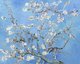 Netherlands / Holland: 'Almond Blossoms', oil on canvas, Vincent Van Gogh (1853-1890), 1890