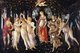 <i>Primavera</i>, also known as <i>Allegory of Spring</i>, is a tempera panel painting by Italian Renaissance artist Sandro Botticelli.<br/><br/>

The history of the painting is not definitely known, though it seems to have been commissioned by one of the Medici family. It contains references to the Roman poets Ovid and Lucretius, and may also reference a poem by Poliziano.<br/><br/>

Since 1919 the painting has been part of the collection of the Uffizi Gallery in Florence, Italy.