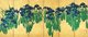 Japan: 'Irises', One pair of six-section folding screens (<i>byobu</i>), ink and color on paper with gold leaf background, Ogata Korin (1568 - 1716), Edo Period, c. 1705, Nezu Art Museum, Tokyo