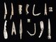 Japan: Assorted needles, hooks and harpoons in bone, Late Jomon Period (c. 1000 - 300 BCE), Metropolitan Museum of Art, New York