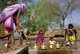 India: At a village well near Indore, Madhya Pradesh